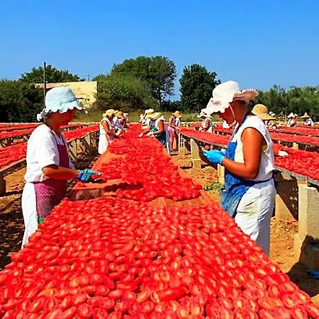 Rosso Salento Alliste