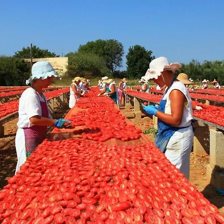 לינה וארוחת בוקר Rosso Salento אליסטה